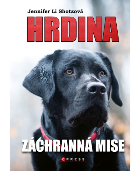 Levně Hrdina: Záchranná mise
