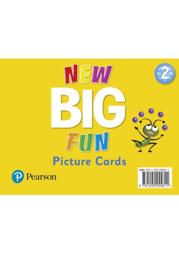 New Big Fun 2 Picture Cards