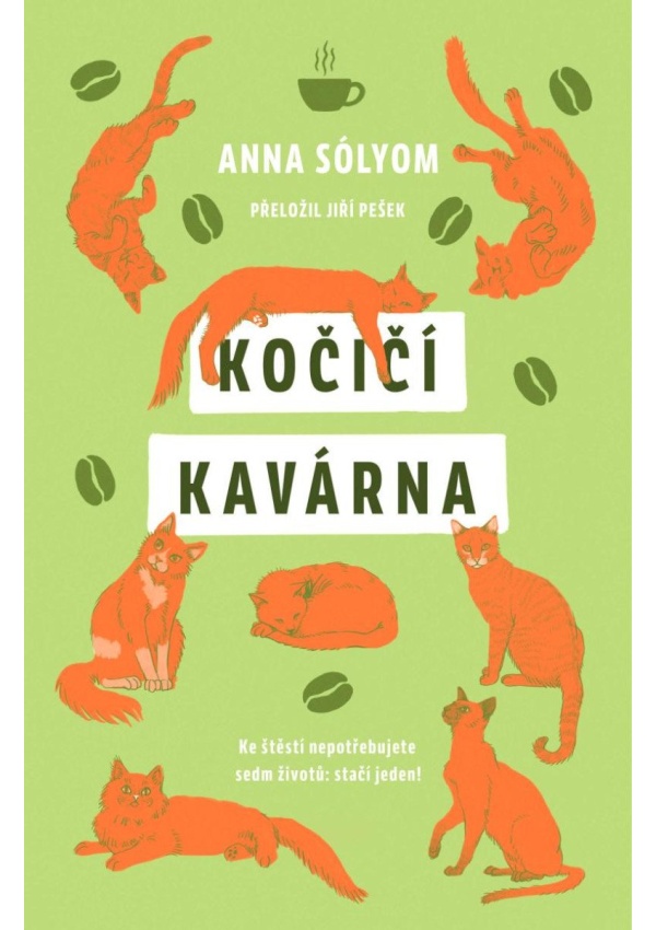 Levně Kočičí kavárna