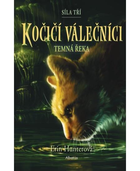 Kočičí válečníci: Síla tří (2) – Temná řeka