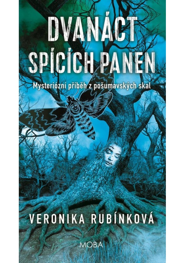Levně Dvanáct spících panen - Temná legenda z Pošumavských skal