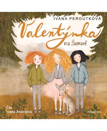 Levně Valentýnka na Šumavě (audiokniha)