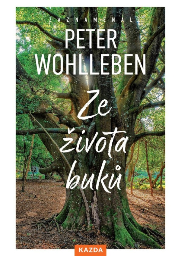 Levně Ze života buků - Strom vypráví svůj úžasný příběh