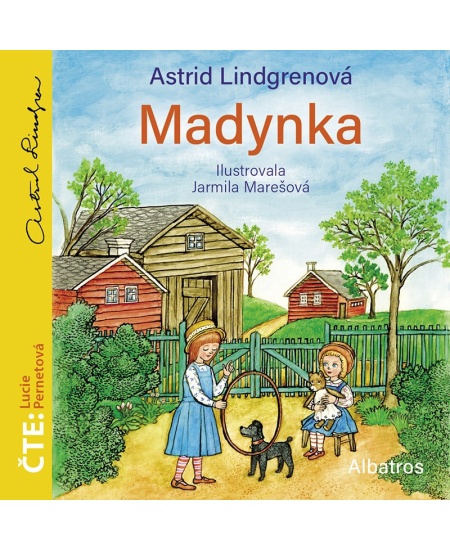 Levně Madynka (audiokniha)