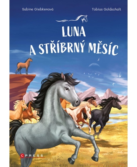 Levně Luna a stříbrný měsíc