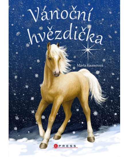 Levně Vánoční hvězdička