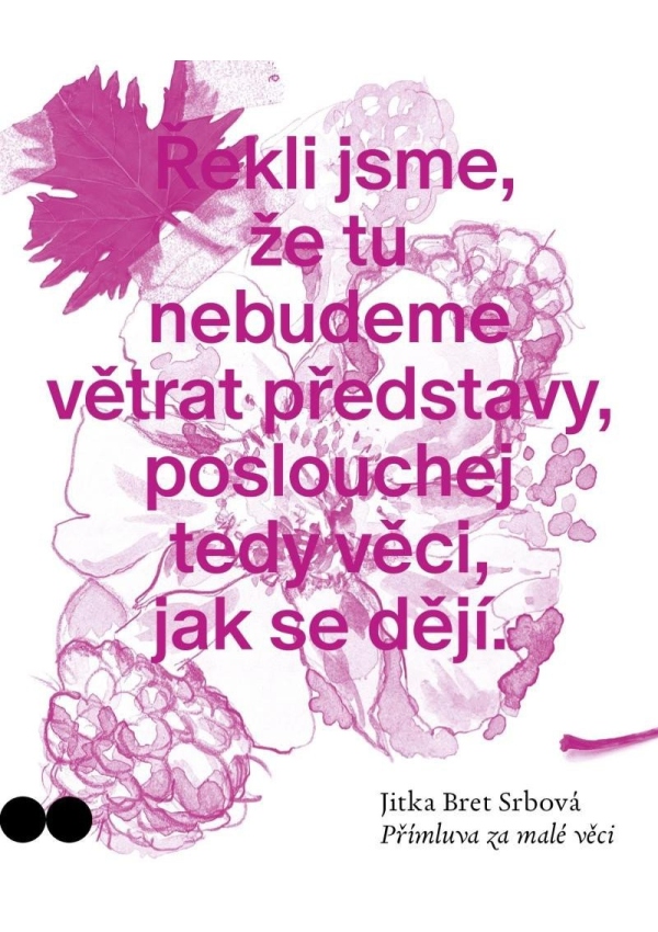 Levně Přímluva za malé věci