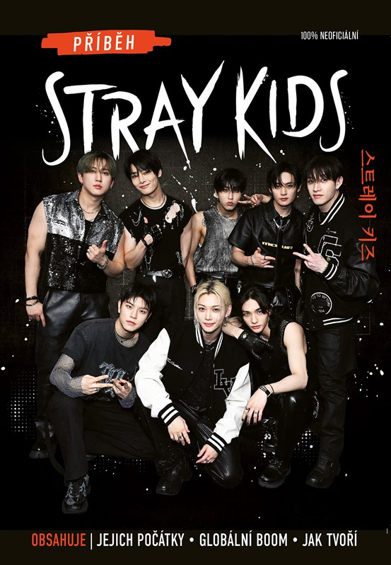 Příběh Stray Kids