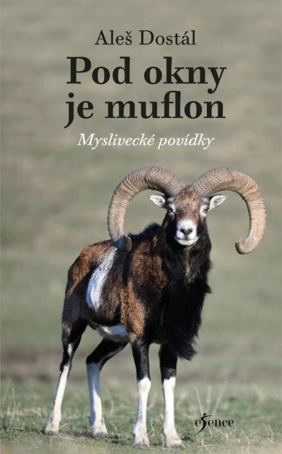 Levně Pod okny je muflon