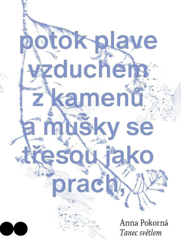 Levně Tanec světlem