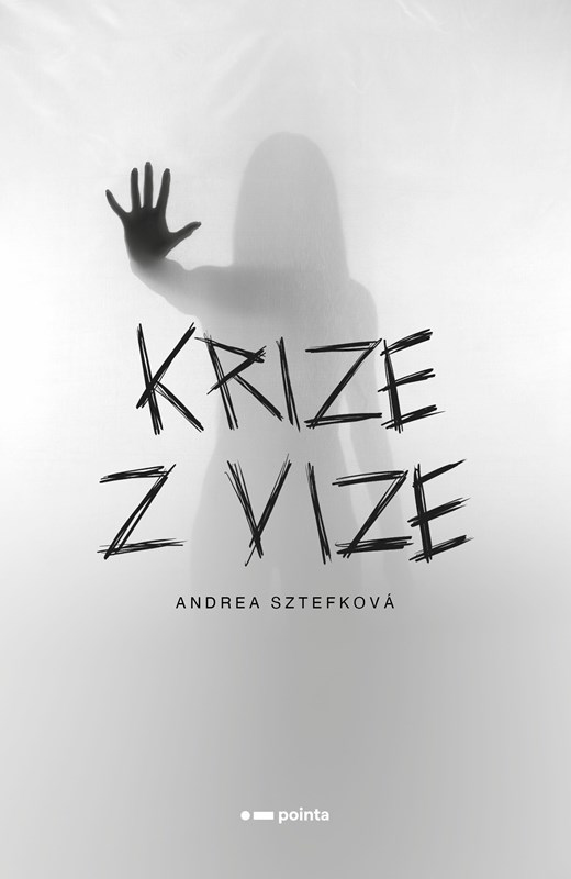 Levně Krize z vize