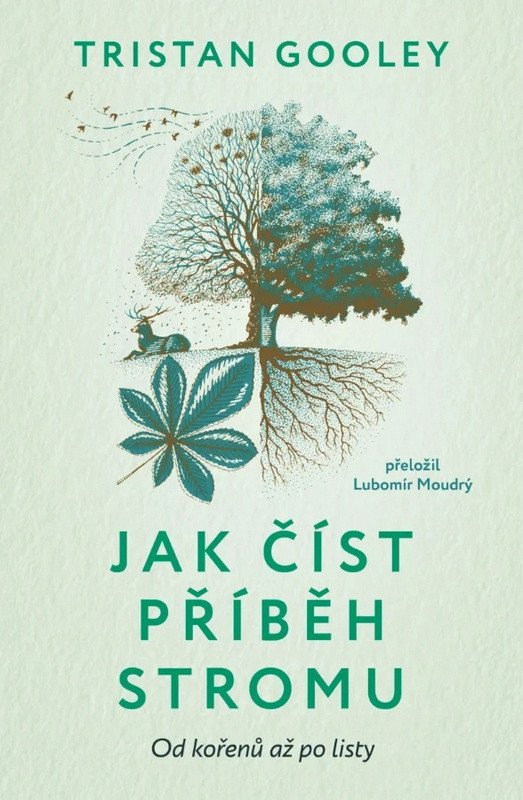 Levně Jak číst příběh stromu - Od kořenů až po listy