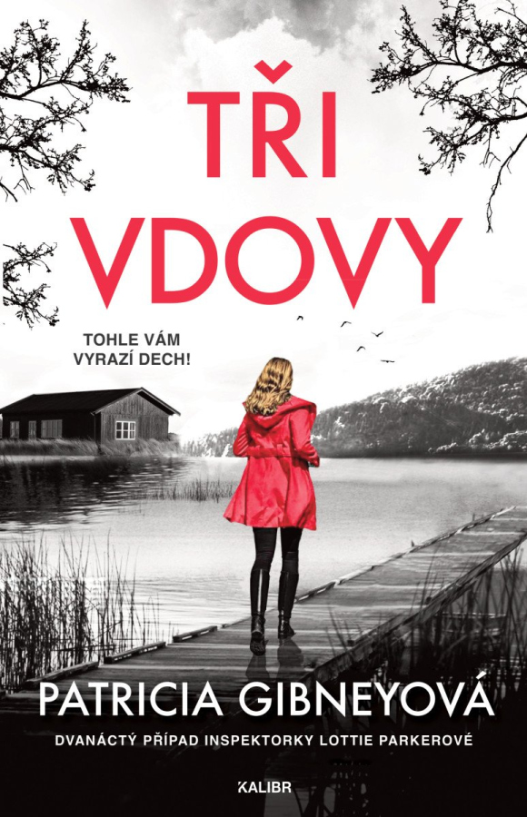 Levně Tři vdovy