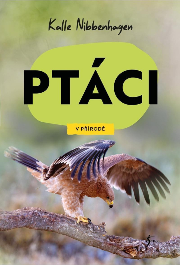 Levně V přírodě: Ptáci