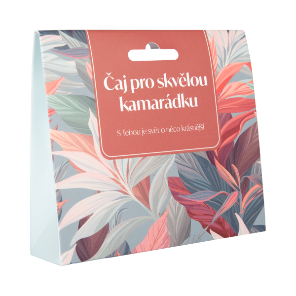 Levně Dárkový čaj - Pro skvělou kamarádku