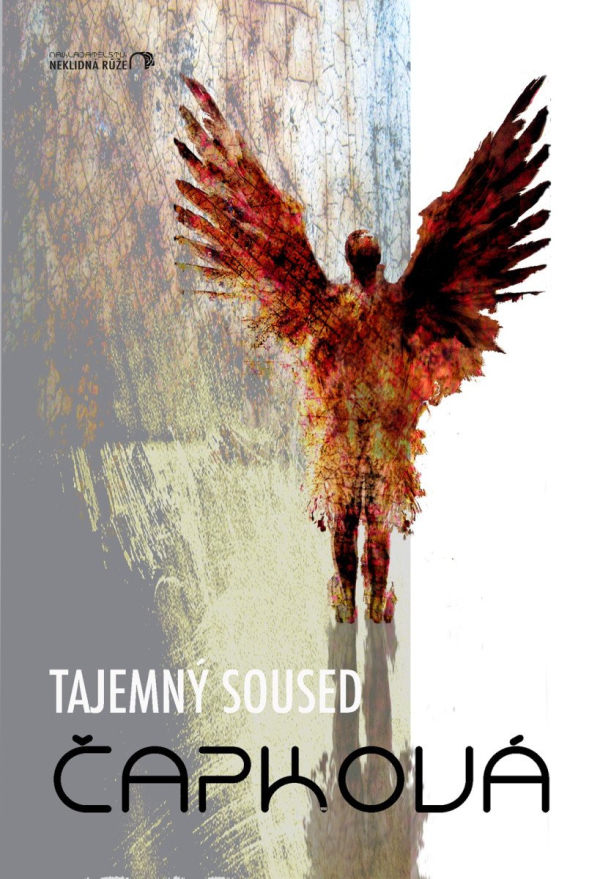 Levně Tajemný soused