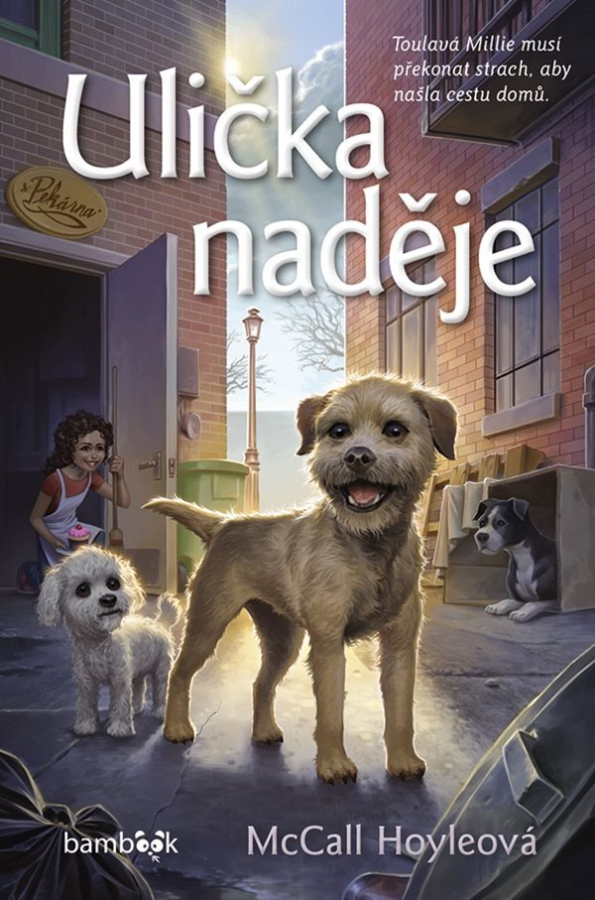 Levně Ulička naděje