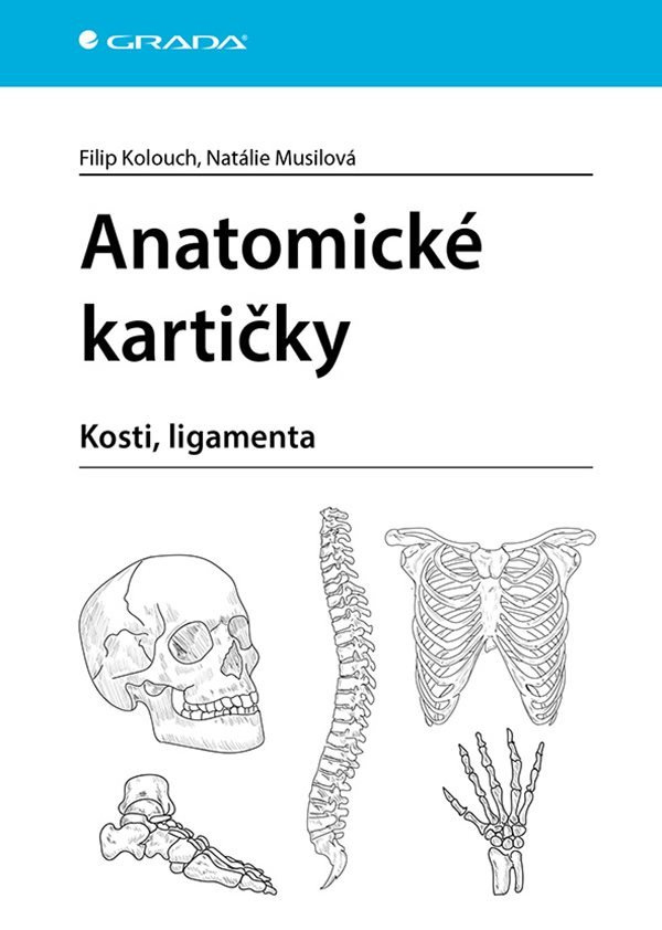 Levně Anatomické kartičky