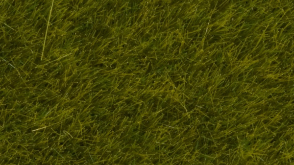 Noch Statická tráva divoká Louka 6 mm