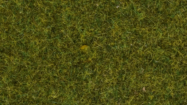 Noch Statická tráva divoká Louka 9 mm