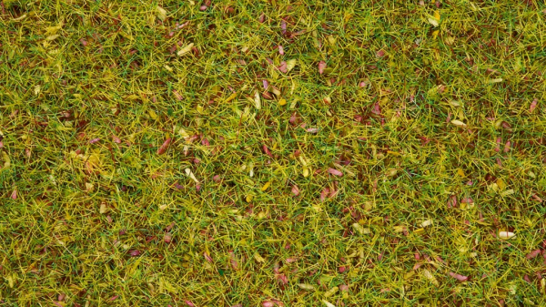Noch Statická tráva Kvetoucí louka 2,5 mm
