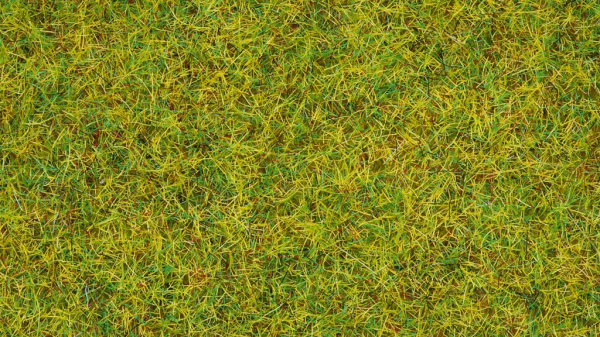 Noch Statická tráva Letní louka 2,5 mm