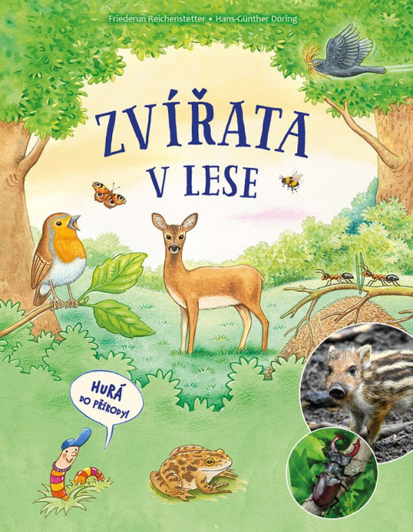Levně Zvířata v lese