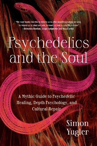 Psychedelics and the Soul, A Mythic Guide to Psychedelic Healing, Depth Psychology, and Cultural Repair