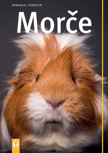 Levně Morče