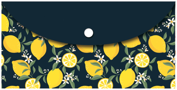 Pouzdro na dokumenty DL Fresh