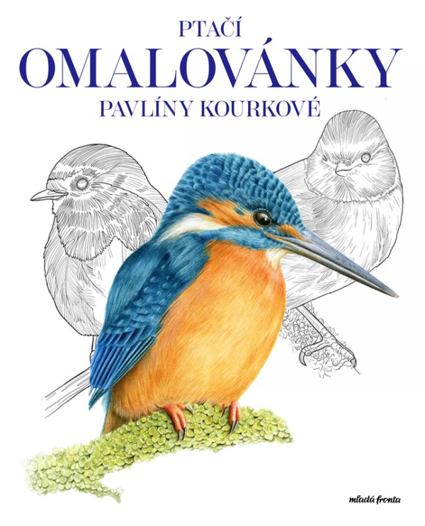 Levně Ptačí omalovánky Pavlíny Kourkové