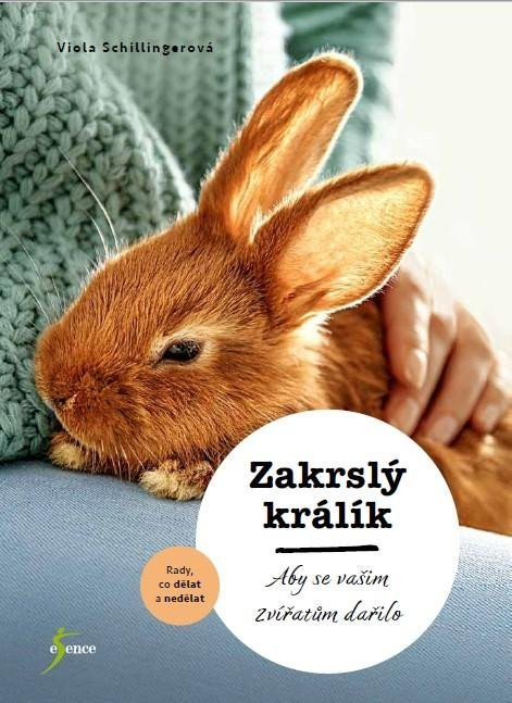 Levně Zakrslý králík