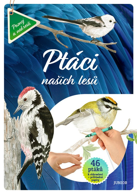 Levně Ptáci našich lesů