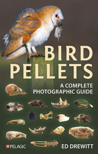 Bird Pellets, A Complete Photographic Guide