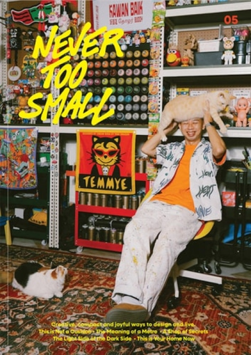 Never Too Small, #5: A Dazzling Journey Through Colour, Culture and Compact Living