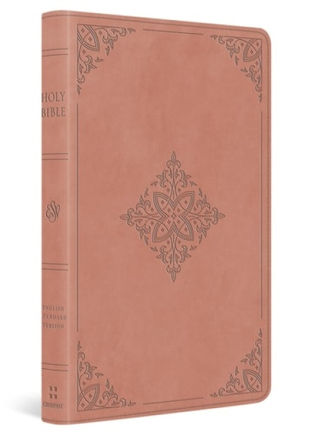 ESV Large Print Value Thinline Bible