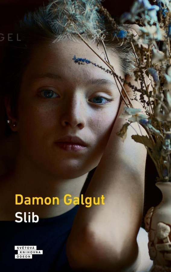 Levně Slib