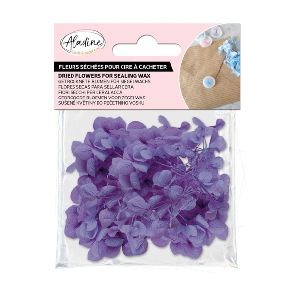 Aladine Sušené květiny do pečetí Aladine - violet, fialové