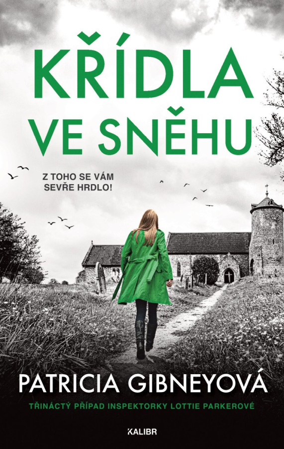 Levně Křídla ve sněhu