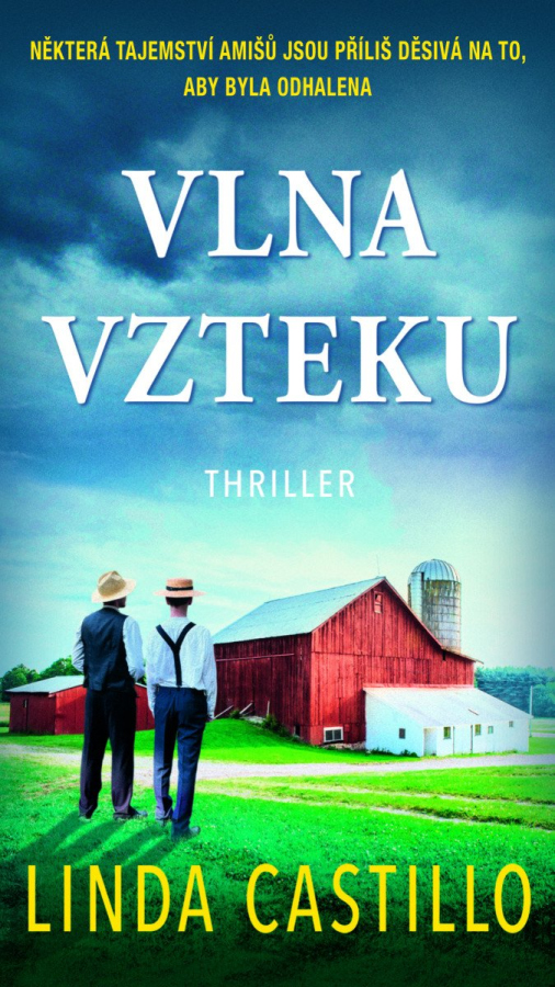 Levně Vlna vzteku