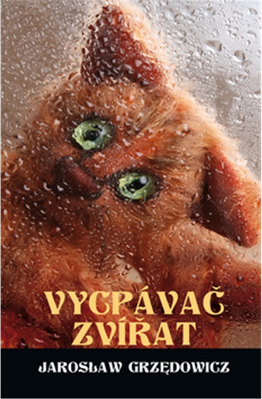 Levně Vycpávač zvířat