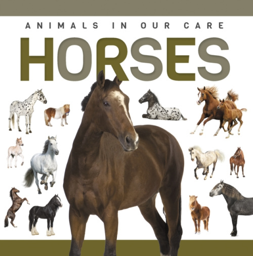Levně Horses