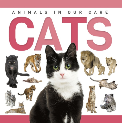 Levně Cats