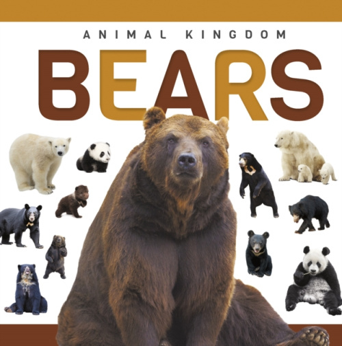 Levně Bears