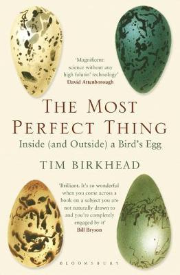 Most Perfect Thing, Inside (and Outside) a Bird’s Egg