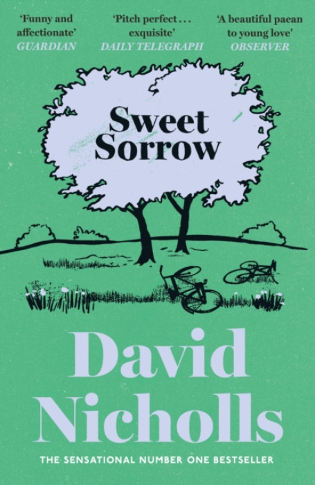 Sweet Sorrow, The Sunday Times bestselling novel from the author of ONE DAY and YOU ARE HERE