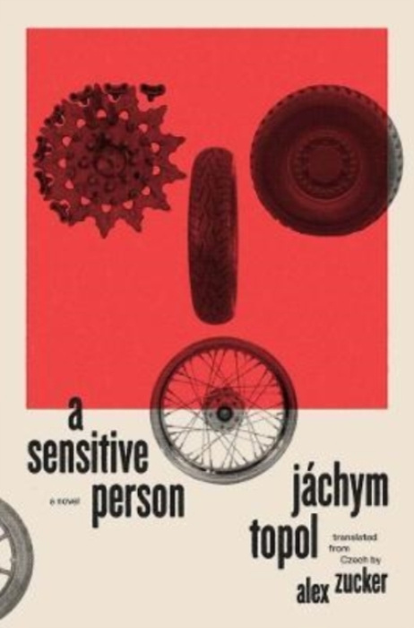 Sensitive Person, A Novel