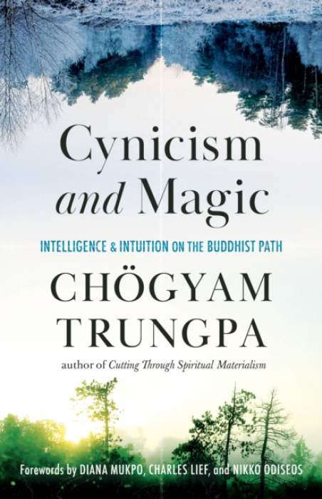 Cynicism and Magic, Intelligence and Intuition on the Buddhist Path