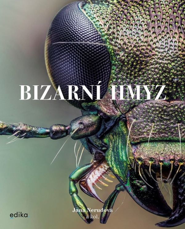 Bizarní hmyz