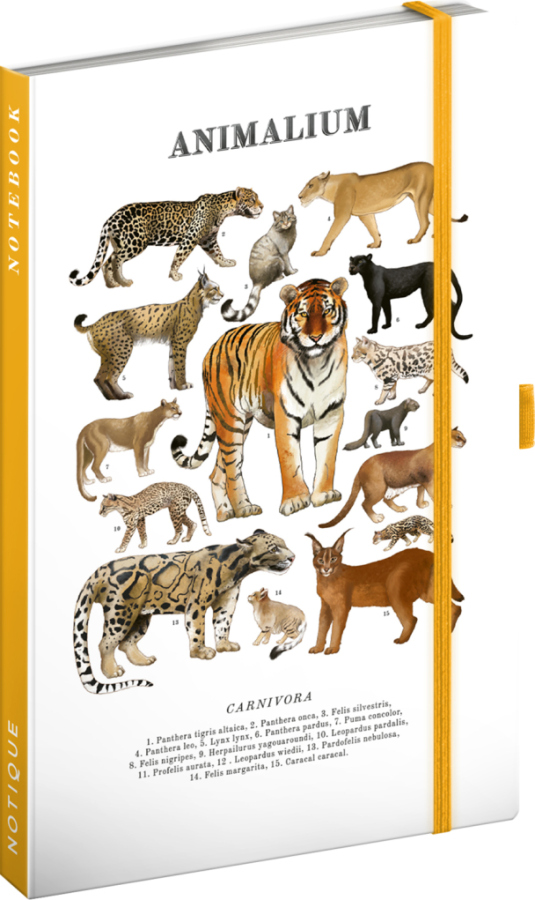 NOTIQUE Notes Animalium – Kočkovité šelmy, linkovaný, 13 x 21 cm